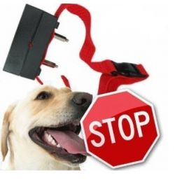 Sound Activated Electronic Shock Bark-Stop Collar Anti-Bark Dog Collar